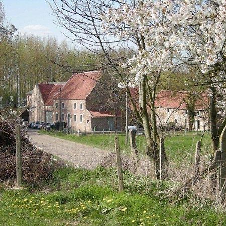 De Verborgen Parel B&B Borgloon Exterior photo
