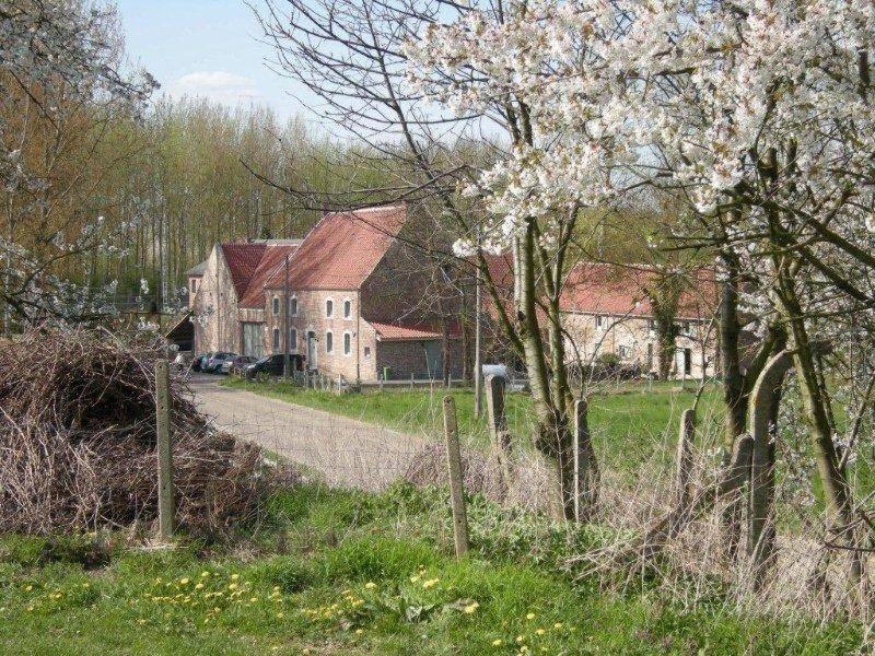 De Verborgen Parel B&B Borgloon Exterior photo